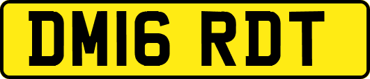 DM16RDT