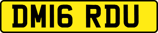 DM16RDU
