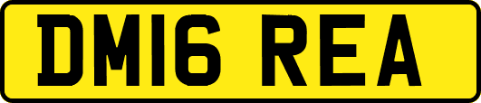DM16REA