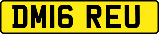 DM16REU