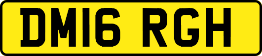 DM16RGH