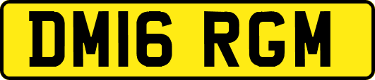 DM16RGM