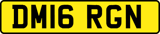 DM16RGN