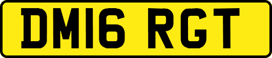 DM16RGT