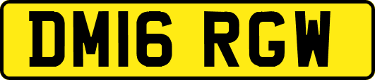 DM16RGW