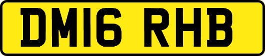 DM16RHB