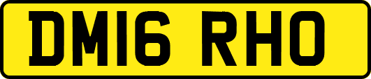 DM16RHO