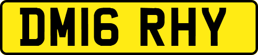 DM16RHY