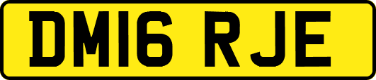 DM16RJE