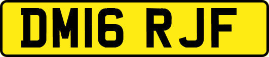 DM16RJF