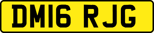DM16RJG