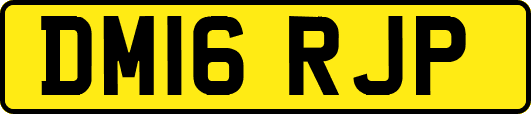 DM16RJP