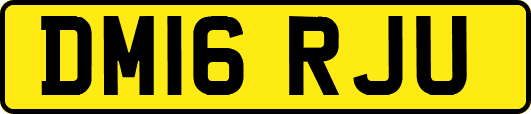 DM16RJU