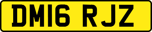 DM16RJZ