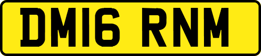 DM16RNM