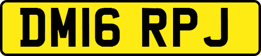 DM16RPJ