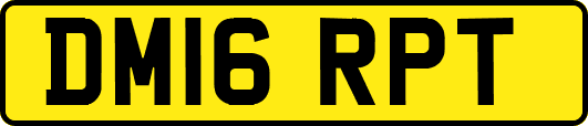 DM16RPT