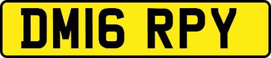 DM16RPY
