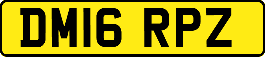 DM16RPZ