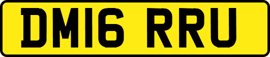 DM16RRU