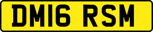 DM16RSM