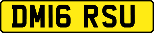 DM16RSU