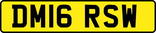 DM16RSW