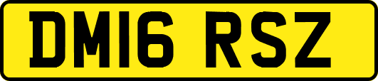 DM16RSZ