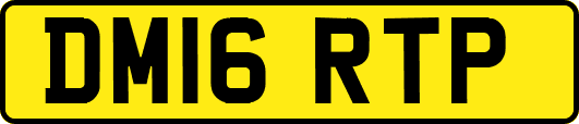 DM16RTP