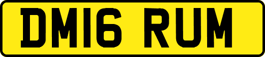 DM16RUM
