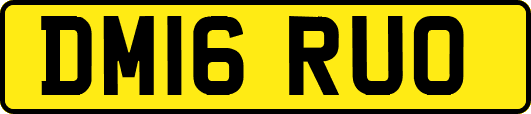 DM16RUO