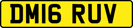 DM16RUV