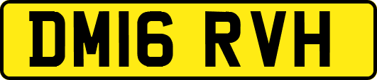 DM16RVH