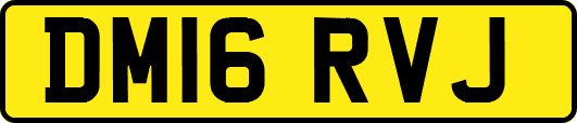 DM16RVJ