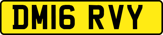 DM16RVY