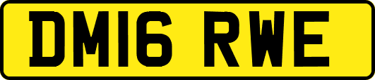 DM16RWE