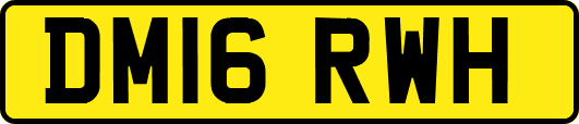 DM16RWH
