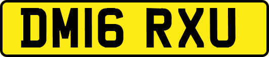 DM16RXU