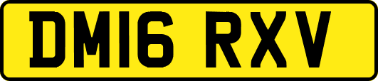 DM16RXV