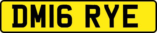 DM16RYE