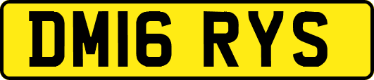 DM16RYS