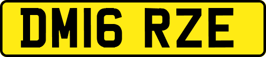 DM16RZE