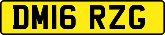 DM16RZG