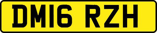 DM16RZH