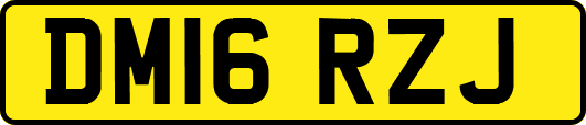 DM16RZJ