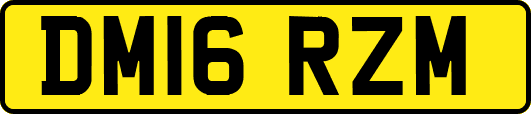 DM16RZM