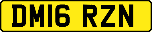 DM16RZN