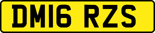 DM16RZS