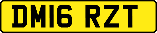 DM16RZT