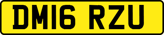 DM16RZU